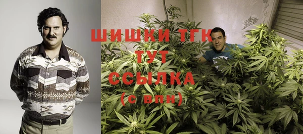 прущий лед Горняк